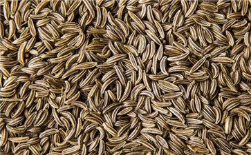 調味料大全名稱和圖片 調味料大全名稱和圖片