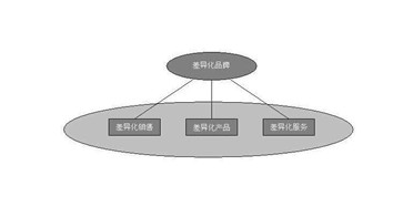 做好差異化營銷案例